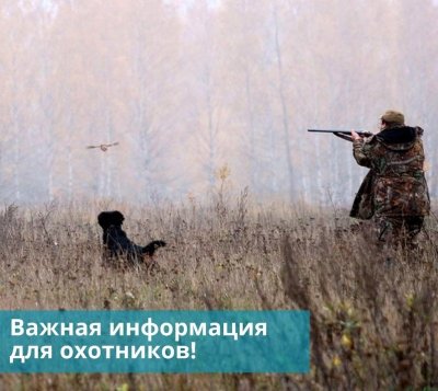 График проведения жеребьевок для определения охотников, допущенных к участию в распределении разрешений на добычу лося, благородного оленя, косули сибирской, кабарги, дикого северного оленя в сезоне охоты 2024-2025 годов